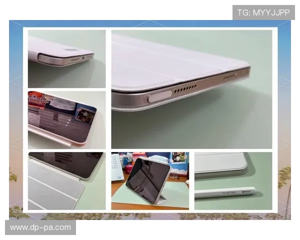 提升游戏体验 iPad Mini必备配件推荐与选择指南